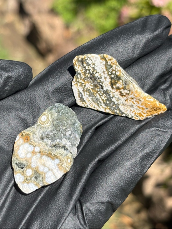 Other - Ocean Jasper Crystal Set - Polished Sea Jasper Bundle - Orbicular Jasper